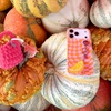 image:imageSonix Case for iPhone 17  Compatible with MagSafe  10ft Drop Tested  Cherry On TopCheckmate Pink