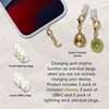 image:imageSonix x Sanrio Dust Plugs  USB C  Lightning Compatible  Sanrio Silicone Character Charging Port Charms 3 Pack  Hello Kitty Cinnamoroll KuromiCelestial