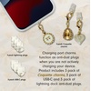 image:imageSonix x Sanrio Dust Plugs  USB C  Lightning Compatible  Sanrio Silicone Character Charging Port Charms 3 Pack  Hello Kitty Cinnamoroll KuromiCoquette