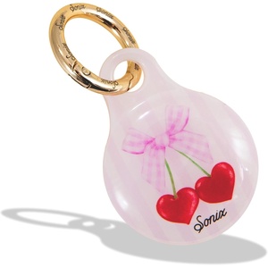 image:imageSonix Cases for Apple AirTags with Gold Carabiner  AirTag Hard Cover Protective Case  AirTag Holder Keychain  Rainbow HeartCherry Love